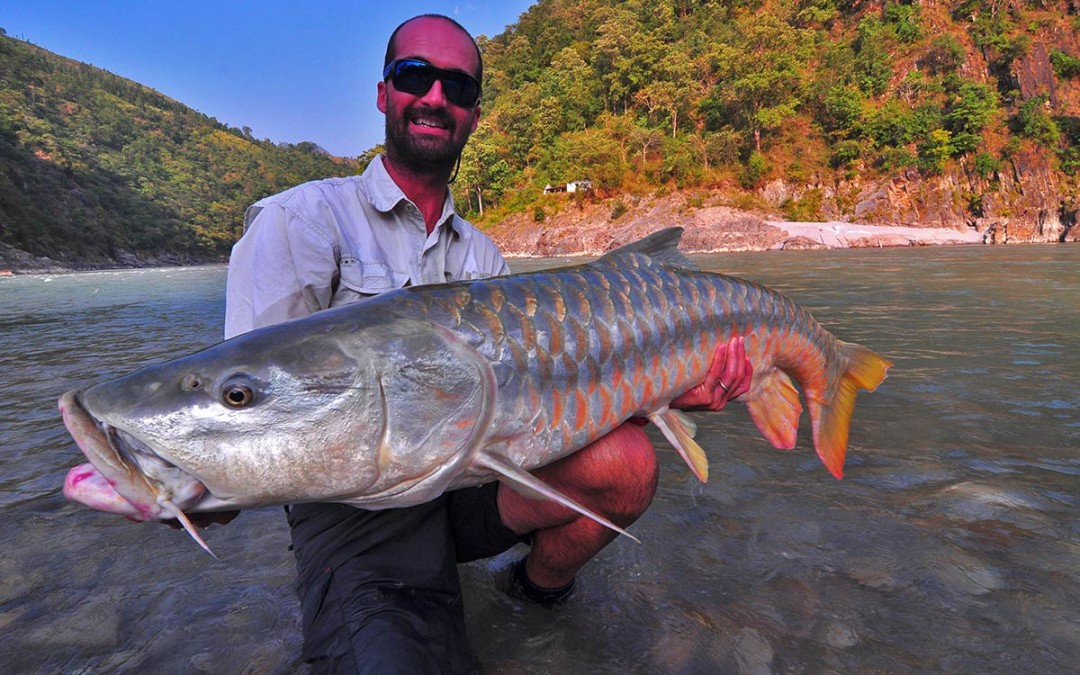 In search of the Himalyan Golden Mahseer