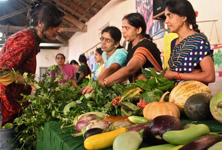 Vanastree Malnad Mela 2